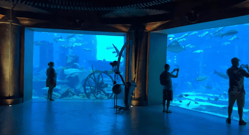 Lost Chambers Aquarium - best things to do in Dubai UAE