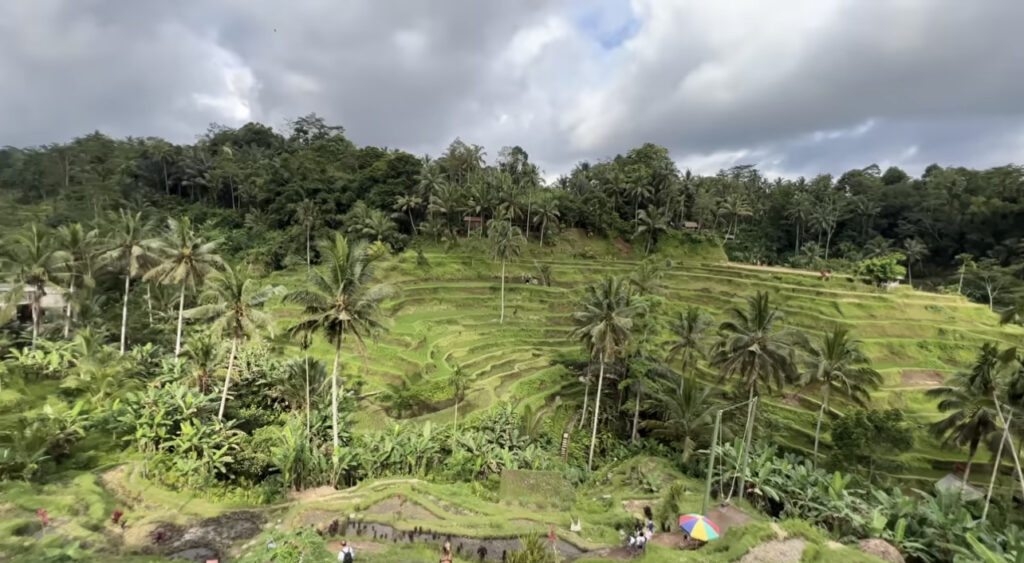 Tegallalang Rice Terraces - Best Things To Do In Bali 2023